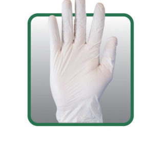 Vinyl Gloves